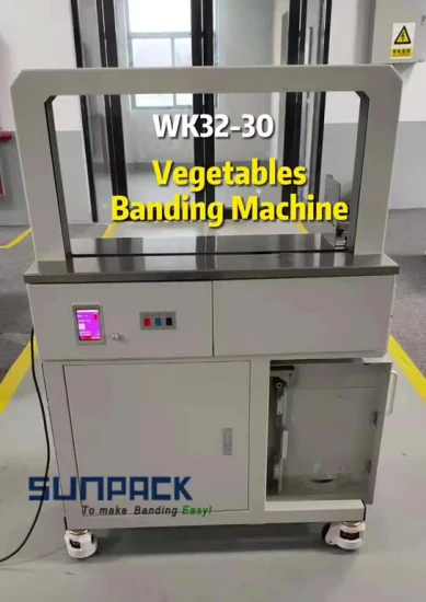 Máquina automática de bandas de alta tensión Sunpack Máquina empaquetadora de productos con formas especiales